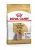 Royal canin yorkshire terrier - сухой корм для собак– Интернет-магазин ZOO-MEGA