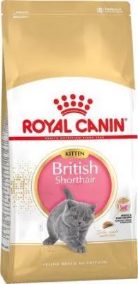 Royal canin kitten british shorthair - сухой корм для котят